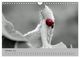 Thumbnail-12