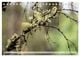 Thumbnail-10