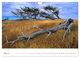 Thumbnail-8