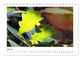 Thumbnail-12