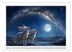 Thumbnail-14