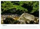 Thumbnail-12