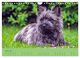 Thumbnail-8