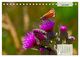 Thumbnail-9