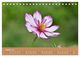 Thumbnail-10