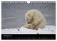 Thumbnail-13