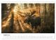 Thumbnail-12