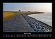 Thumbnail-12
