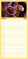 Thumbnail-12