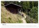Thumbnail-8