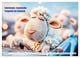 Thumbnail-9