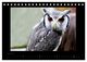 Thumbnail-8