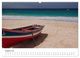 Thumbnail-9