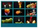 Thumbnail-4