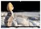 Thumbnail-12