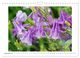 Thumbnail-14