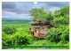 Thumbnail-10