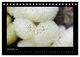 Thumbnail-14