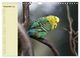 Thumbnail-14