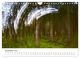 Thumbnail-14