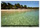 Thumbnail-8