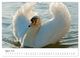 Thumbnail-10