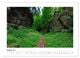 Thumbnail-9