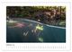 Thumbnail-12
