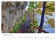 Thumbnail-14
