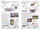Thumbnail-12