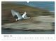 Thumbnail-11