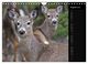 Thumbnail-13