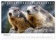 Thumbnail-9