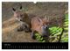 Thumbnail-11