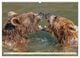Thumbnail-12