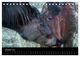 Thumbnail-12