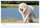Thumbnail-12