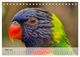 Thumbnail-8