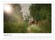 Thumbnail-10