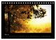 Thumbnail-10