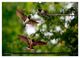 Thumbnail-11