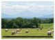 Thumbnail-11