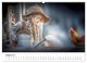 Thumbnail-10