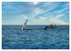 Thumbnail-11