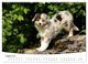 Thumbnail-12