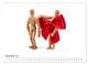 Thumbnail-14