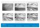 Thumbnail-9