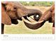 Thumbnail-9