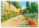 Thumbnail-14