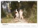 Thumbnail-11
